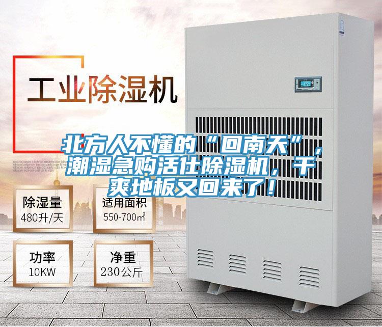 北方人不懂的“回南天”，潮濕急購活仕香蕉视频国产，幹爽地板又回來了！