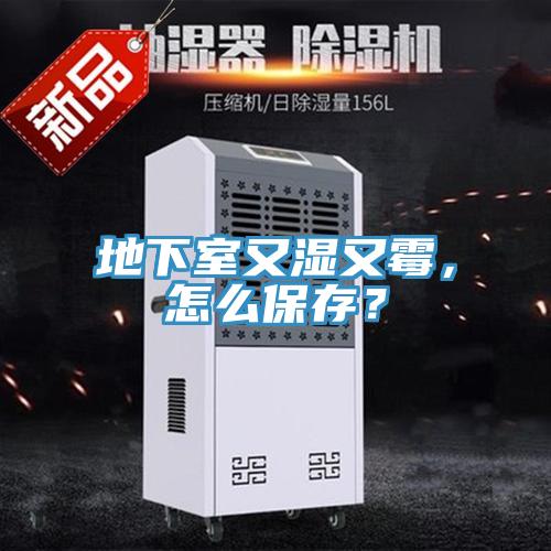 地下室又濕又黴，怎麽保存？