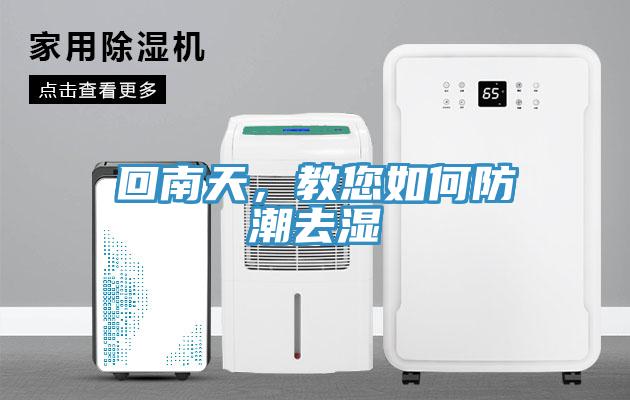 回南天，教您如何防潮去濕