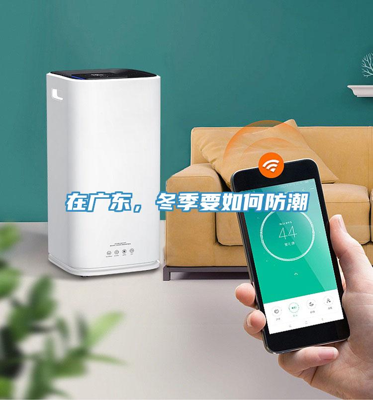 在廣東，冬季要如何防潮