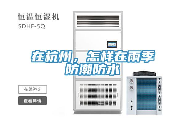 在杭州，怎樣在雨季防潮防水