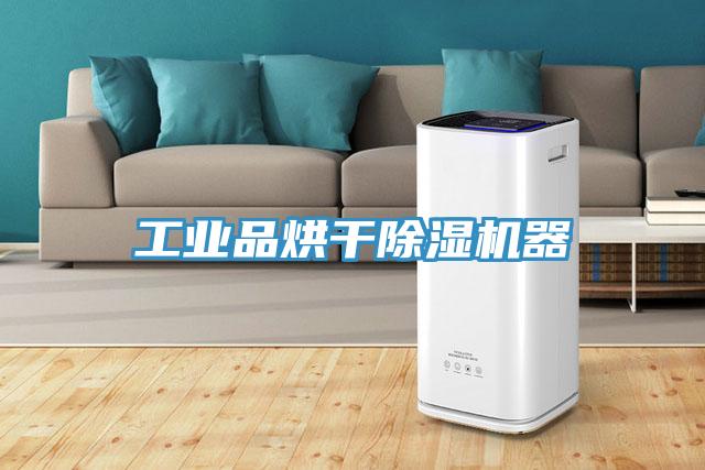 工業品烘幹香蕉视频国产器