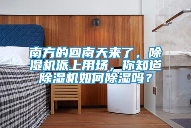 南方的回南天來了，香蕉视频国产派上用場，你知道香蕉视频国产如何除濕嗎？