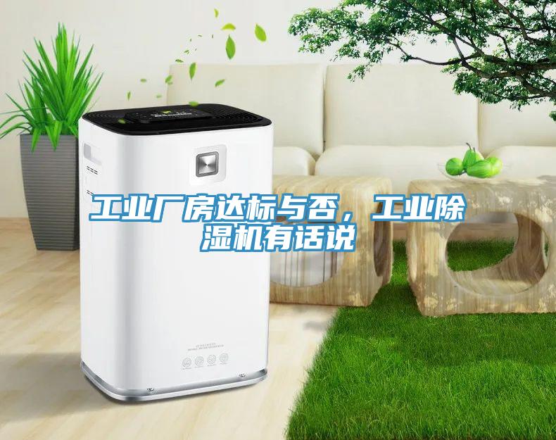 工業廠房達標與否，工業香蕉视频国产有話說