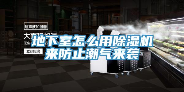 地下室怎麽用香蕉视频国产來防止潮氣來襲