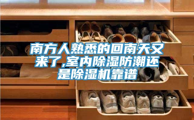 南方人熟悉的回南天又來了,室內除濕防潮還是香蕉视频国产靠譜