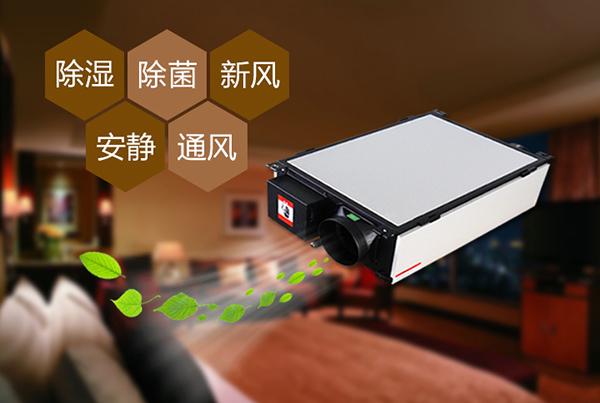 雙十一剛過，雙十二如約而至，濕冷還受得了嗎？