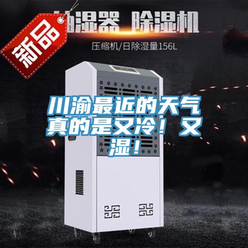 川渝最近的天氣真的是又冷！又濕！