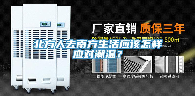 北方人去南方生活應該怎樣應對潮濕？