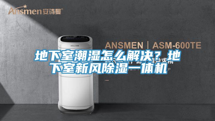 地下室潮濕怎麽解決？地下室新風除濕一體機