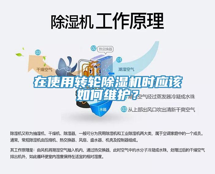 在使用轉輪香蕉视频国产時應該如何維護？