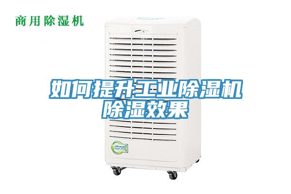 如何提升工業香蕉视频国产除濕效果