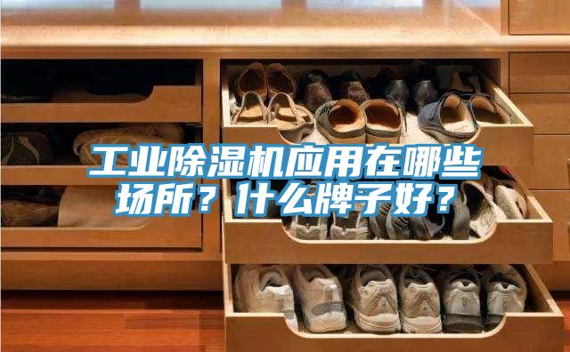 工業香蕉视频国产應用在哪些場所？什麽牌子好？