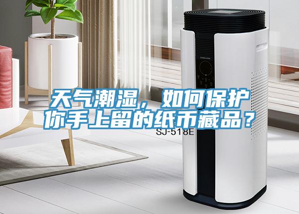天氣潮濕，如何保護你手上留的紙幣藏品？
