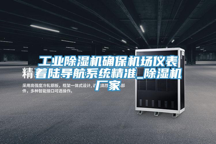 工業香蕉视频国产確保機場儀表著陸導航係統精準_香蕉视频国产廠家