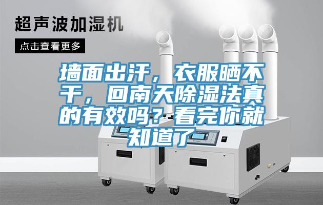 牆麵出汗，衣服曬不幹，回南天除濕法真的有效嗎？看完你就知道了