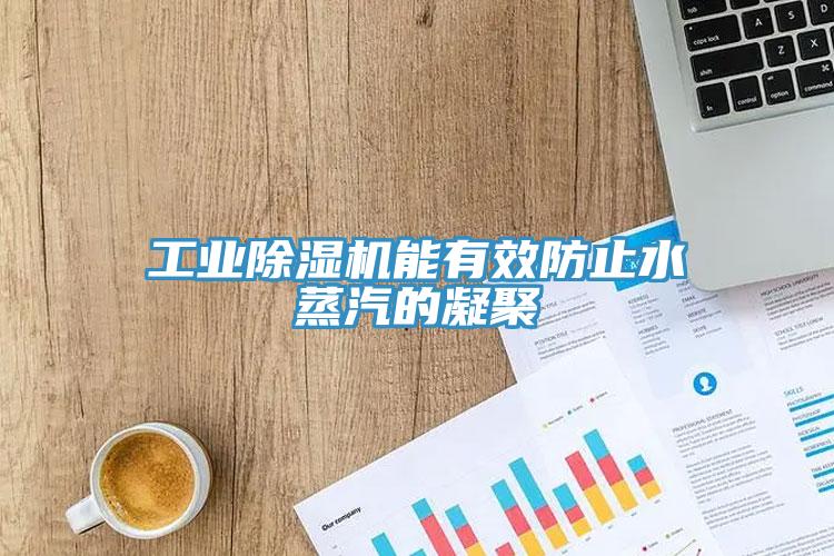 工業香蕉视频国产能有效防止水蒸汽的凝聚