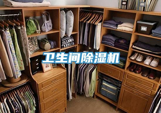 衛生間香蕉视频国产