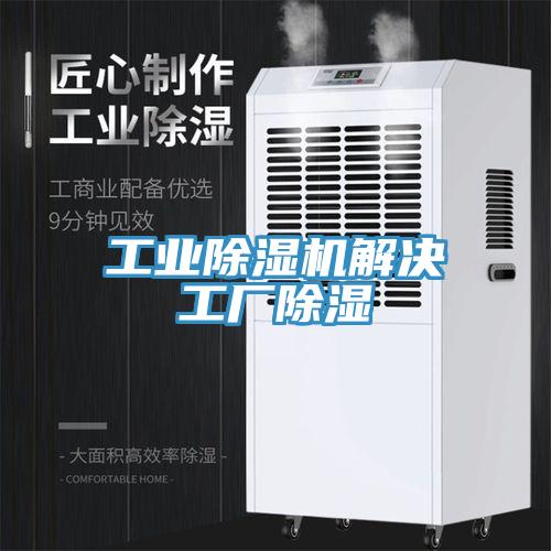 工業香蕉视频国产解決工廠除濕