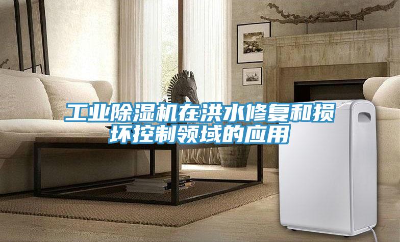 工業香蕉视频国产在洪水修複和損壞控製領域的應用
