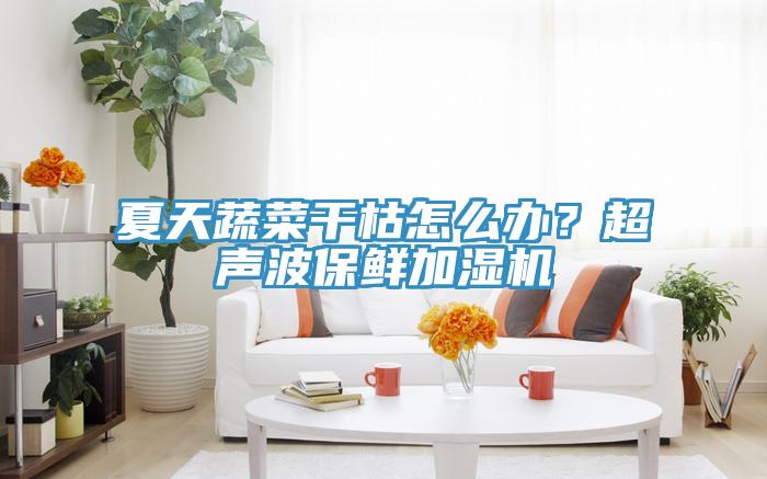 夏天蔬菜幹枯怎麽辦？超聲波保鮮加濕機
