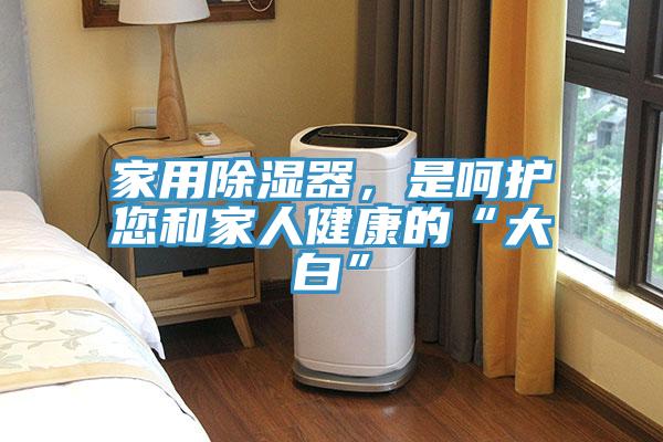 家用除濕器，是嗬護您和家人健康的“大白”