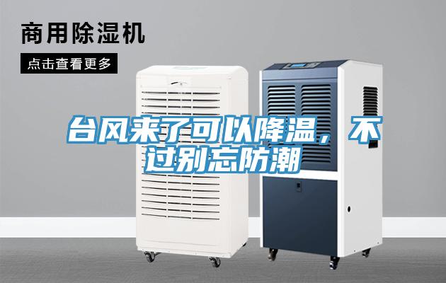 台風來了可以降溫，不過別忘防潮