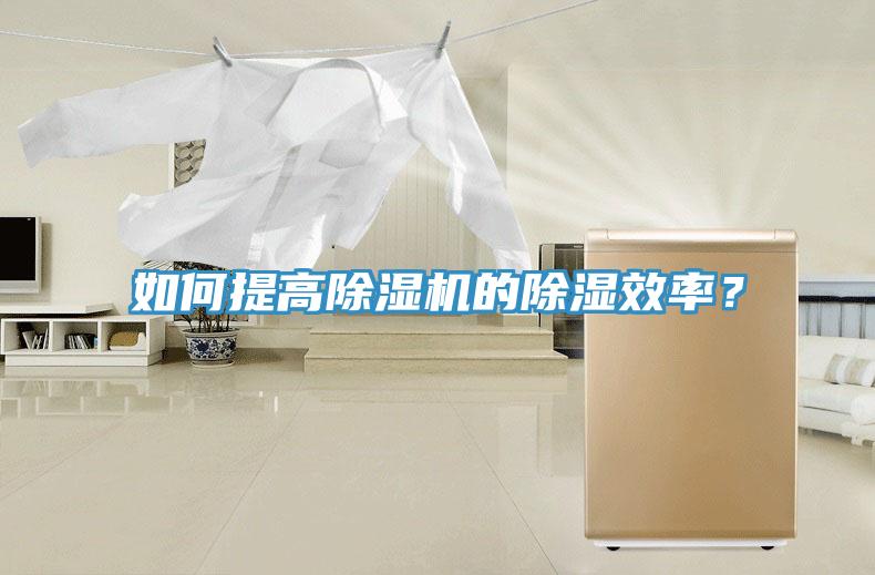 如何提高香蕉视频国产的除濕效率？