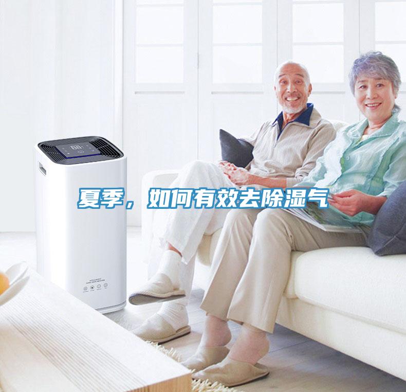夏季，如何有效去除濕氣