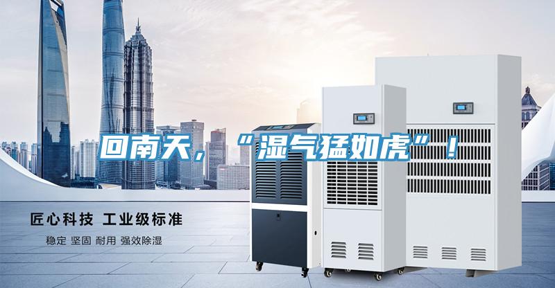 回南天，“濕氣猛如虎”！