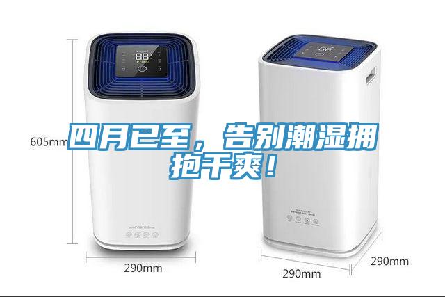四月已至，告別潮濕擁抱幹爽！