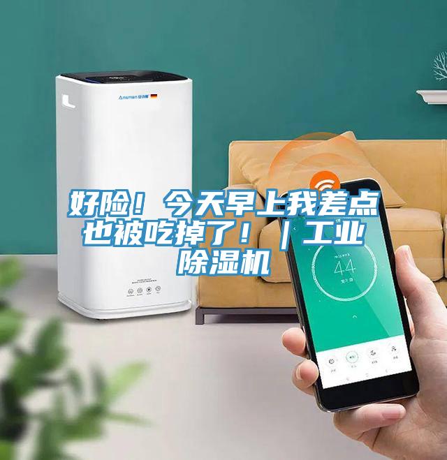 好險！今天早上我差點也被吃掉了！｜工業香蕉视频国产