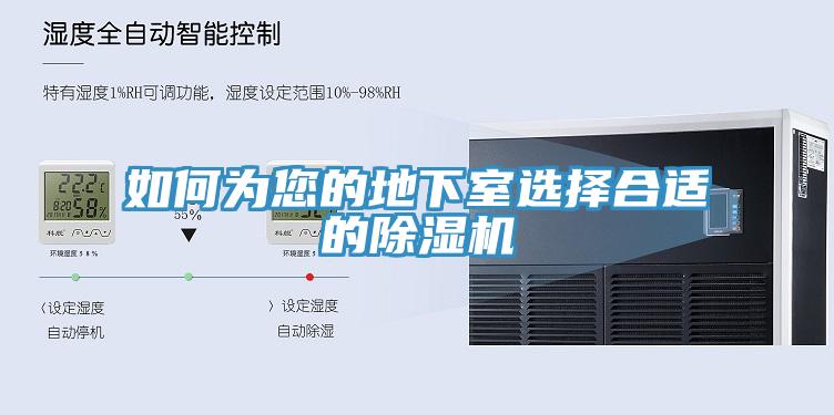 如何為您的地下室選擇合適的香蕉视频国产