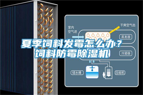 夏季飼料發黴怎麽辦？飼料防黴香蕉视频国产
