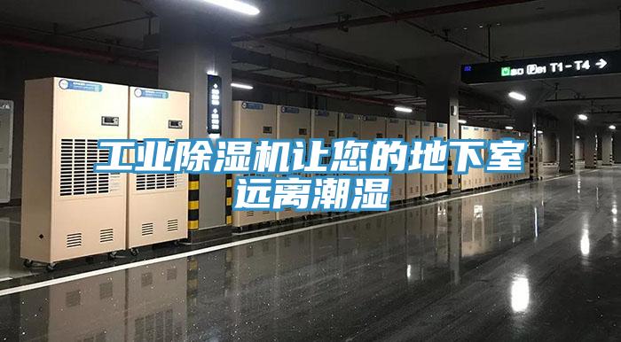 工業香蕉视频国产讓您的地下室遠離潮濕