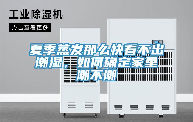 夏季蒸發那麽快看不出潮濕，如何確定家裏潮不潮