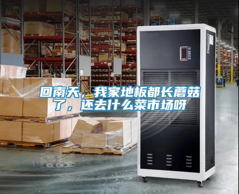回南天，我家地板都長蘑菇了，還去什麽菜市場呀