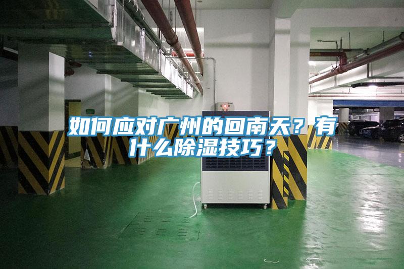 如何應對廣州的回南天？有什麽除濕技巧？