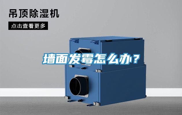 牆麵發黴怎麽辦？