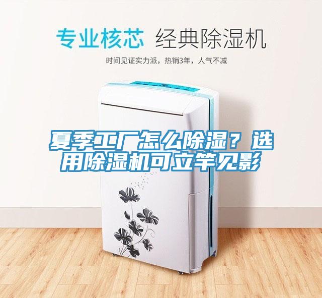 夏季工廠怎麽除濕？選用香蕉视频国产可立竿見影