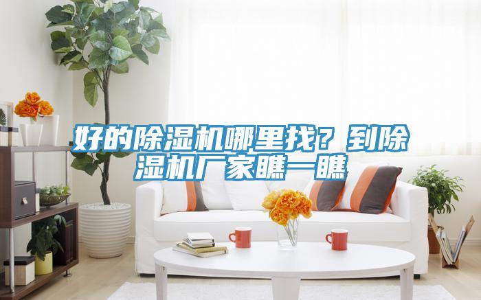 好的香蕉视频国产哪裏找？到香蕉视频国产廠家瞧一瞧
