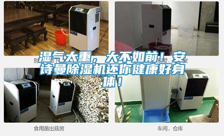 濕氣太重，大不如前！大香蕉性爱网香蕉视频国产還你健康好身體！