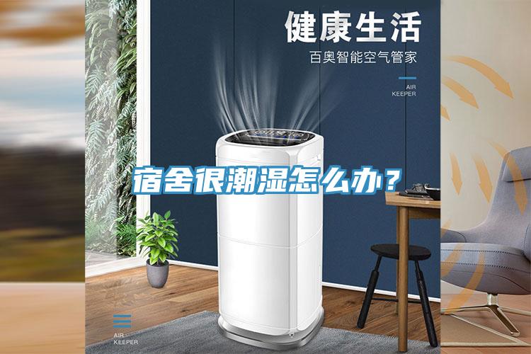 宿舍很潮濕怎麽辦？