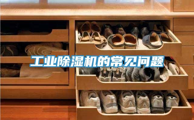工業香蕉视频国产的常見問題