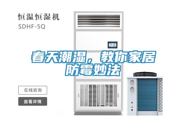 春天潮濕，教你家居防黴妙法