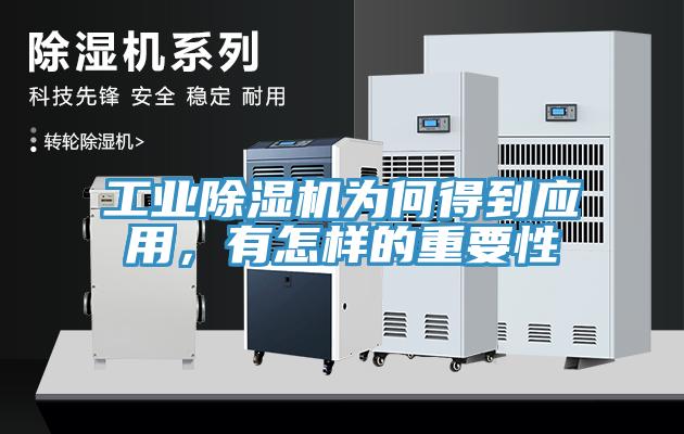 工業香蕉视频国产為何得到應用，有怎樣的重要性