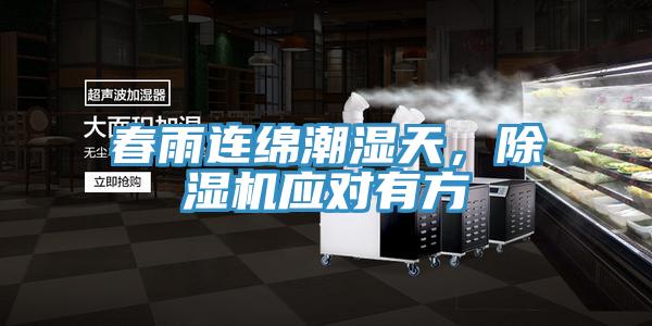 春雨連綿潮濕天，香蕉视频国产應對有方