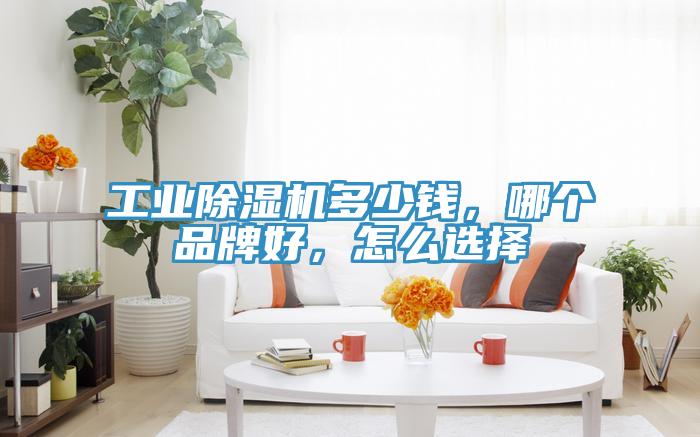 工業香蕉视频国产多少錢，哪個品牌好，怎麽選擇