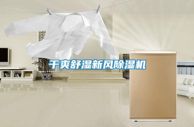 幹爽舒濕新風香蕉视频国产