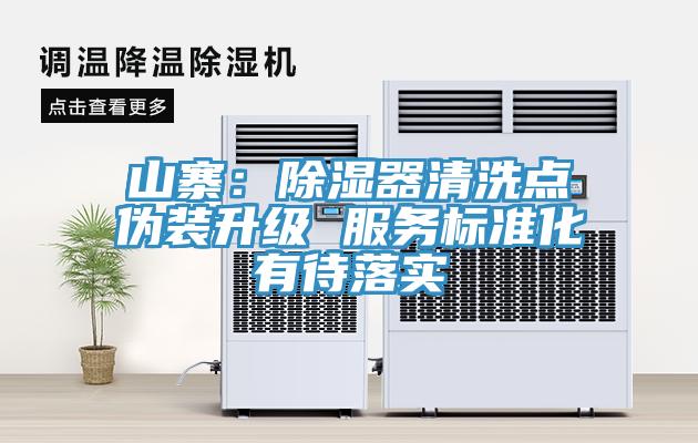 山寨：除濕器清洗點偽裝升級 服務標準化有待落實